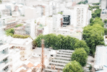 Professional certification and insurance documents